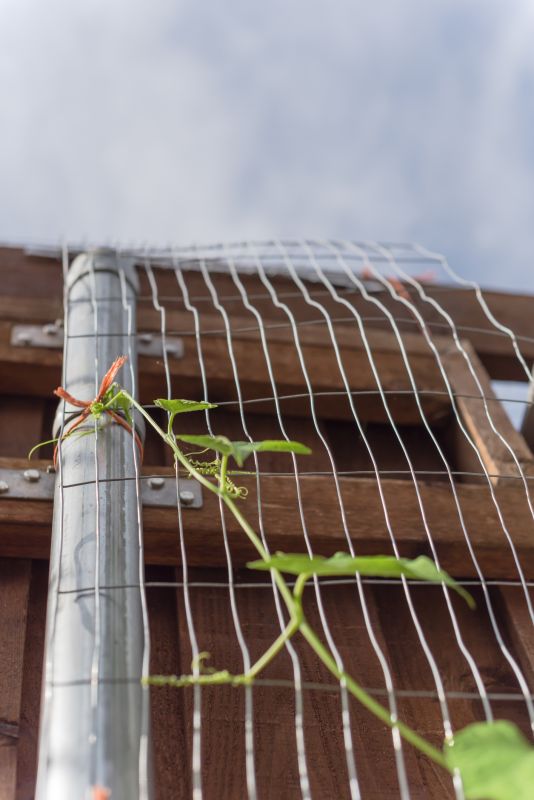 Spring Trellis Installation